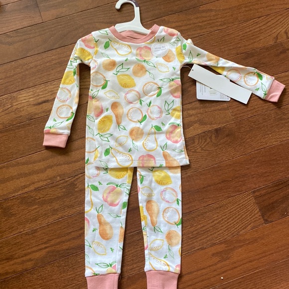 Burt's Bees Other - NWT Burt Bees Pajamas 2T